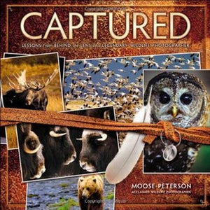 Captured: Lessons from Behind the Lens of a Legendary Wildlife Photographer (Used Paperback) - B. Moose Peterson