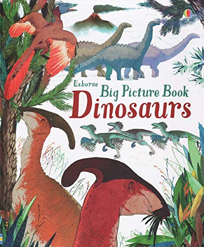 Big Picture Book Dinosaurs (Used Paperback) - Laura Cowan