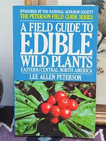 A Field Guide to Edible Wild Plants: Eastern and Central North America (Used Paperback) - Lee Allen Peterson ,  Roger Tory Peterson  (Editor)