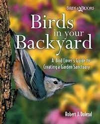 Birds in Your Backyard:  (Used Hardcover) - Robert J. Dolezal