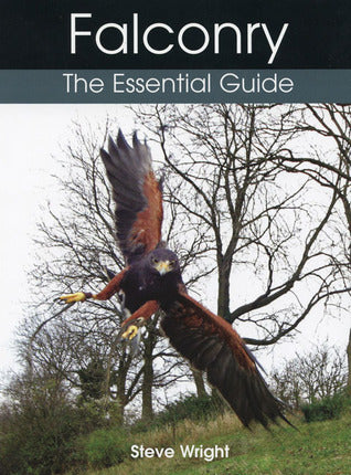 Falconry: The Essential Guide (Used Hardcover) - Steve Wright