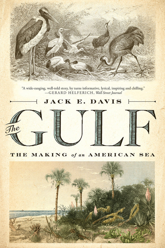 The Gulf: The Making of An American Sea (Used Paperback) - Jack Emerson Davis