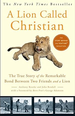 A Lion Called Christian (Used Hardcover) - Anthony Bourke & John Rendell
