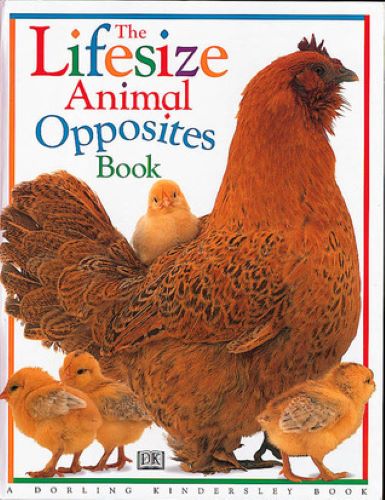 The Lifesize Animal Opposites Book (Used Hardcover) - Lee Davis