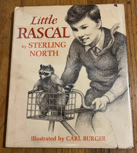 Little Rascal (Used Hardcover) - Sterling North