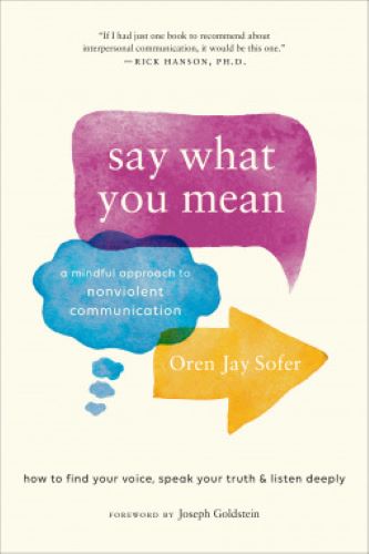 Say What You Mean: A Mindful Approach to Nonviolent Communication (Used Paperback) - Oren Jay Sofer