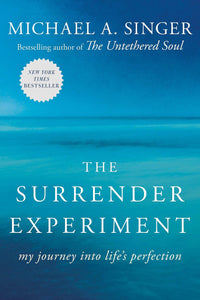 The Surrender Experiment: My Journey into Life's Perfection (Used Paperback) - Michael A. Singer