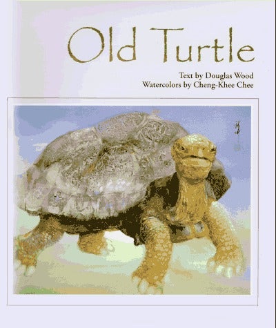 Old Turtle:  Questions of the Heart (Used Hardcover) - Douglas Wood
