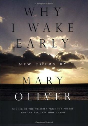 Why I Wake Early (Used Paperback) - Mary Oliver