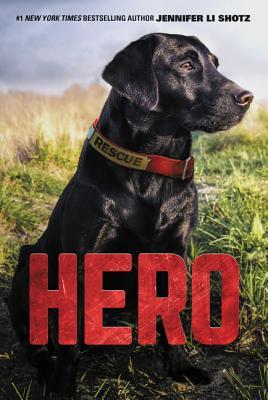 Hero (Used Paperback) - Jennifer Li Shotz