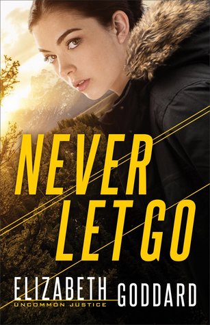 Never Let Go (Used Paperback) - Elizabeth Goddard