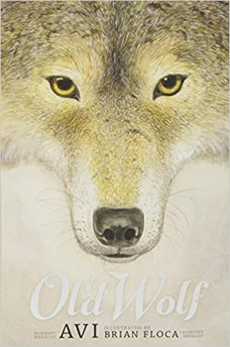 Old Wolf (Used Book) - Avi