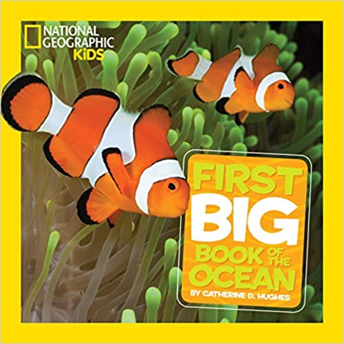 National Geographic Kids First Big Book of the Ocean (Used Hardcover) - Catherine D. Hughes
