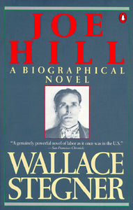 Joe Hill: A Biographical Novel (Used Book) - Wallace Stegner