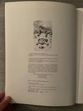 Dore's Illustrations for Don Quixote:  A Selection of 190 Illustrations (Used Paperback) - Gustave Dore (1982)