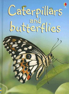 Caterpillars and Butterflies (Used Book) - Stephanie Turnbull