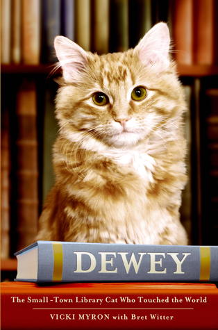 Dewey: The Small-Town Library Cat Who Touched the World (Used Hardcover) - Vicki Myron, Bret Witter