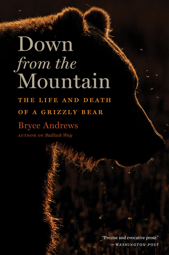 Down from the Mountain: The Life and Death of a Grizzly Bear (Used Paperback) - Bryce Andrews