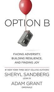 Option B: Facing Adversity, Building Resilience, and Finding Joy (Used Hardcover) - Sheryl Sandberg & Adam Grant