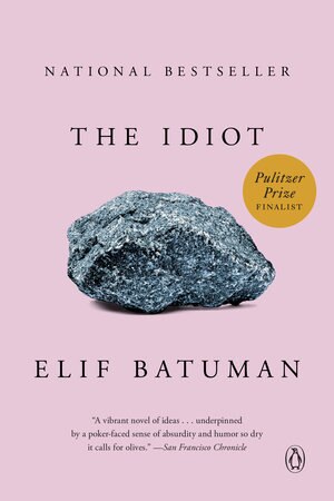 The Idiot (Used Paperback) - Elif Batuman