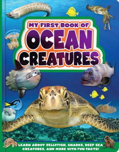 My First Book of Ocean Creatures (New Book)