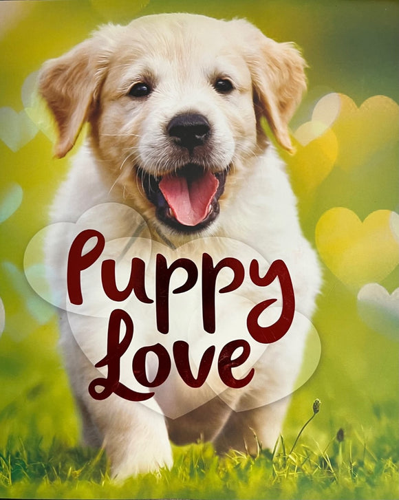 Puppy Love (Used Paperback) - Nancy Dickmann