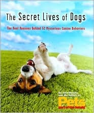 The Secret Lives of Dogs (Used Hardcover) - Jana Murphy